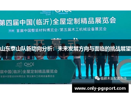 山东泰山队新动向分析：未来发展方向与面临的挑战展望