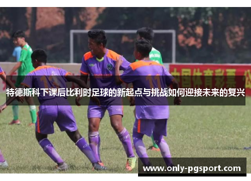 特德斯科下课后比利时足球的新起点与挑战如何迎接未来的复兴