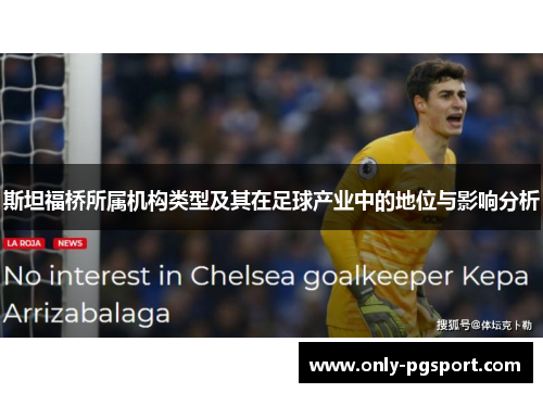 斯坦福桥所属机构类型及其在足球产业中的地位与影响分析