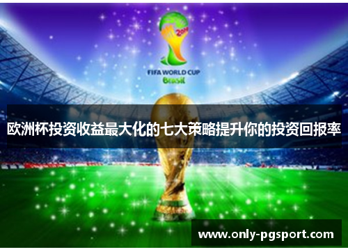 欧洲杯投资收益最大化的七大策略提升你的投资回报率